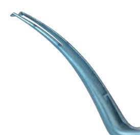 Nonoperative versus operative management of type II odontoid